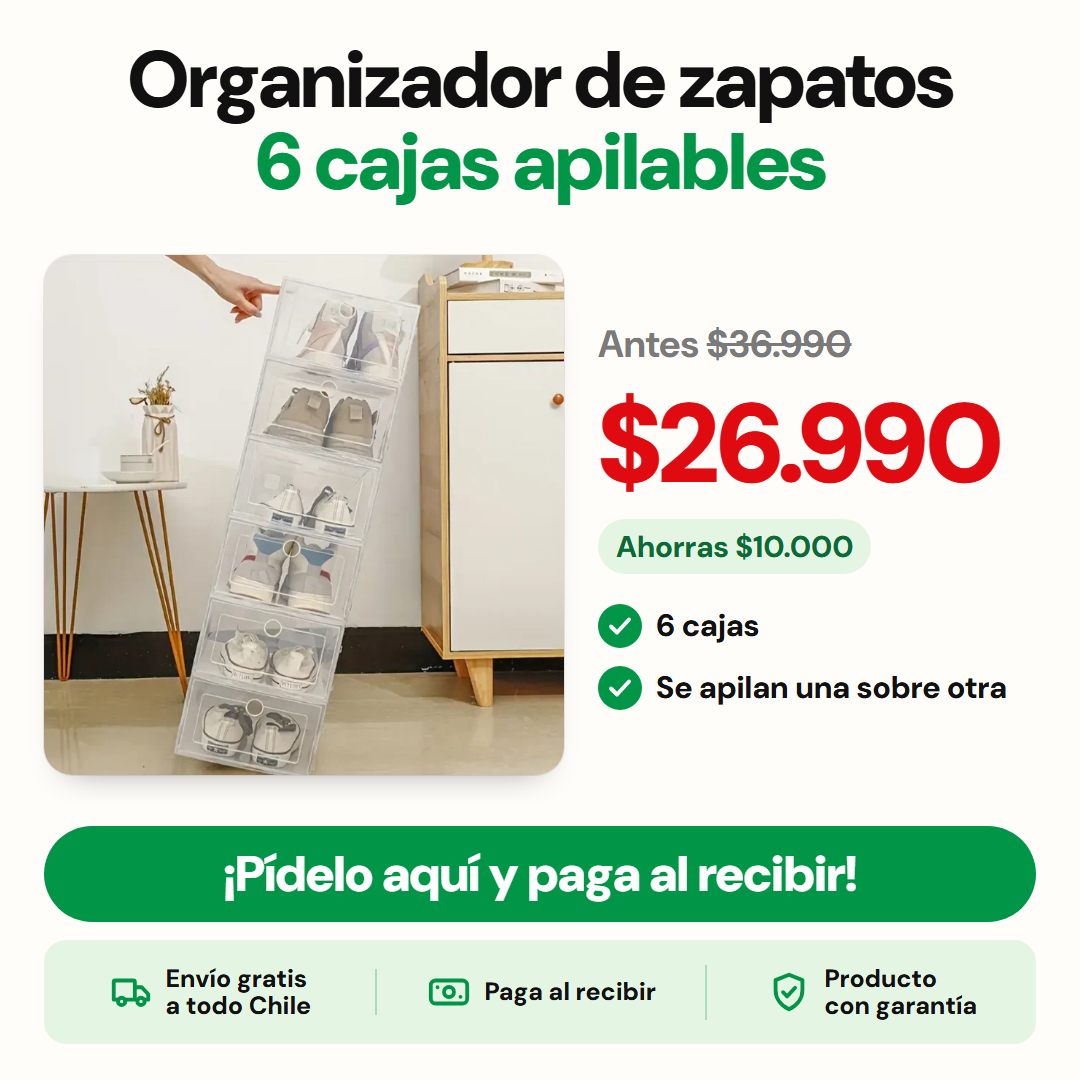 Organizador de zapatos 6 cajas apilables